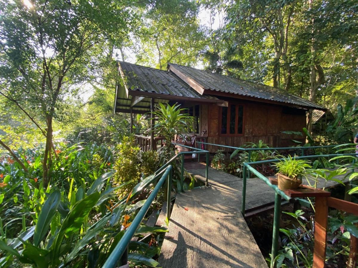 Khao Sok Riverside Cottages Khao Sok National Park Exteriér fotografie