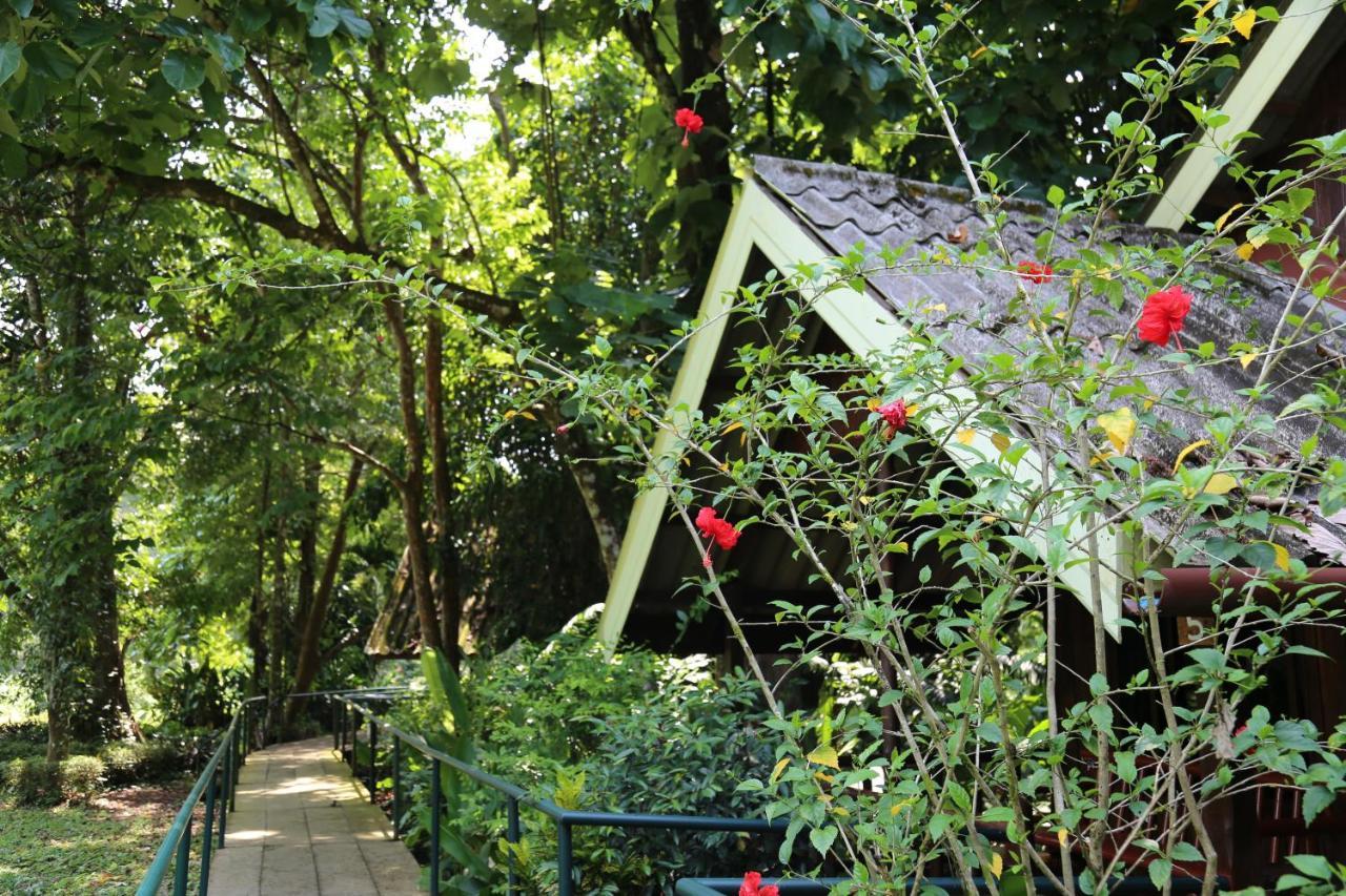 Khao Sok Riverside Cottages Khao Sok National Park Exteriér fotografie